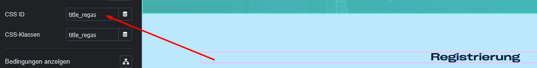 registrierung_registeras_02